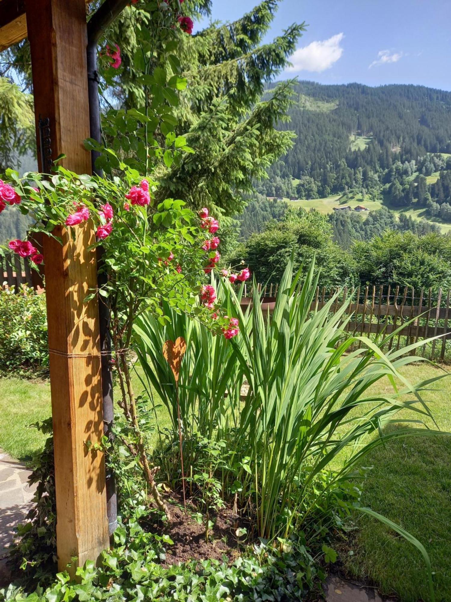 Aparthaus Am Walde & Appartement Sonnenseite Bartholomäberg Dış mekan fotoğraf